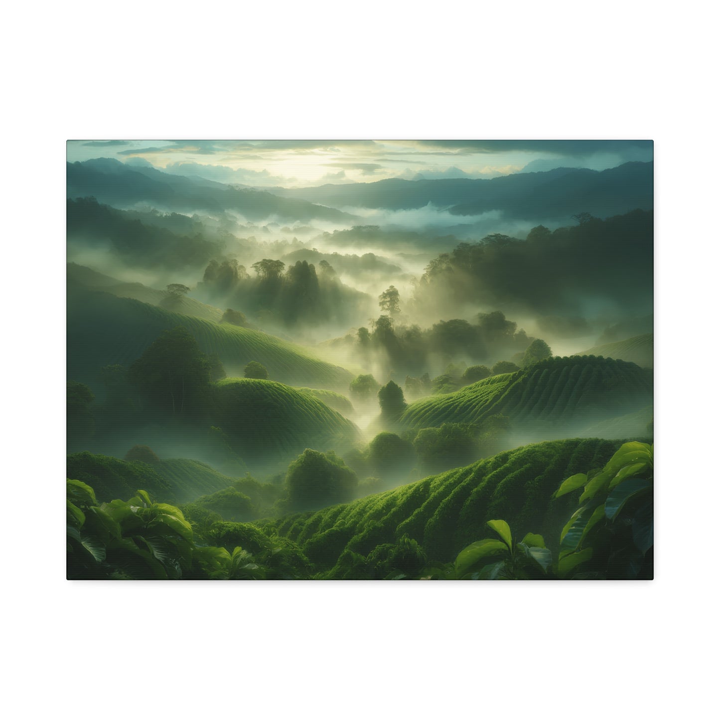 Classic Stretched Canvas