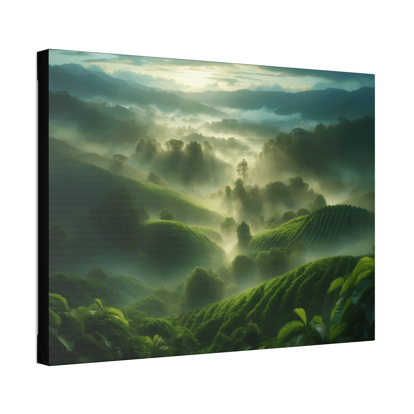Classic Stretched Canvas