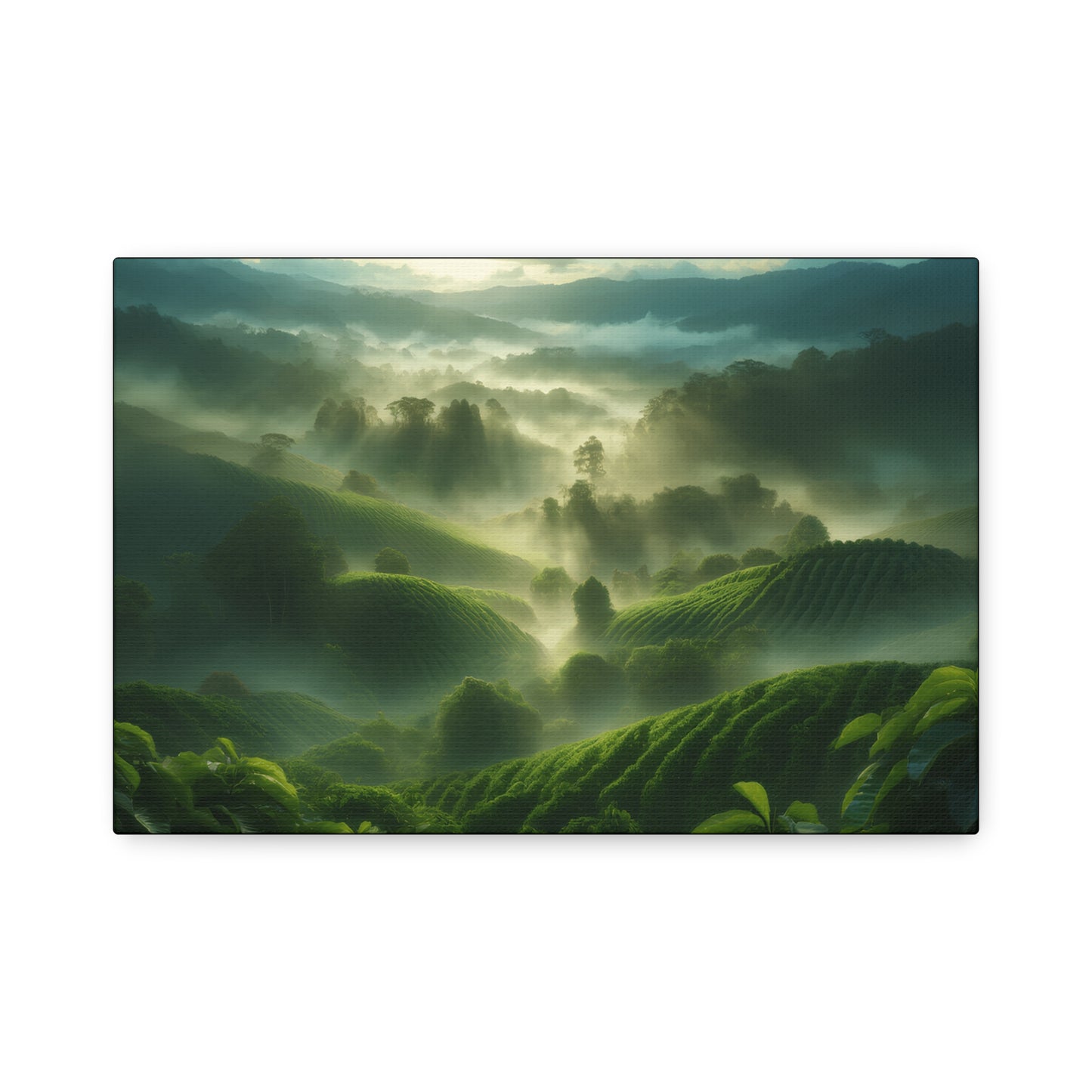 Classic Stretched Canvas