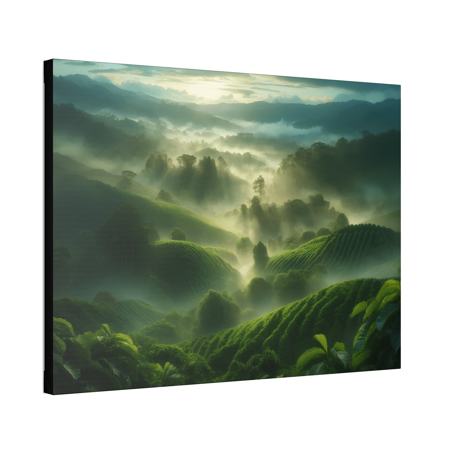 Classic Stretched Canvas