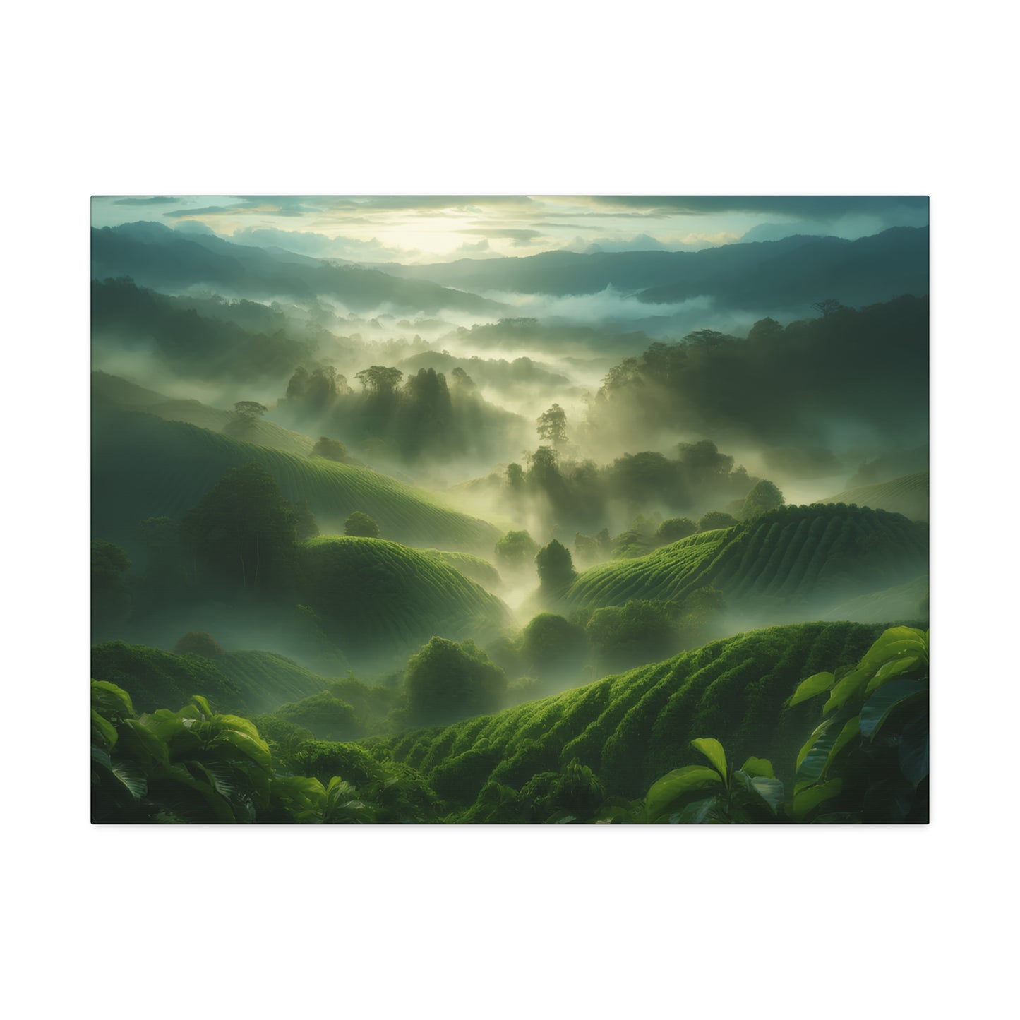 Classic Stretched Canvas